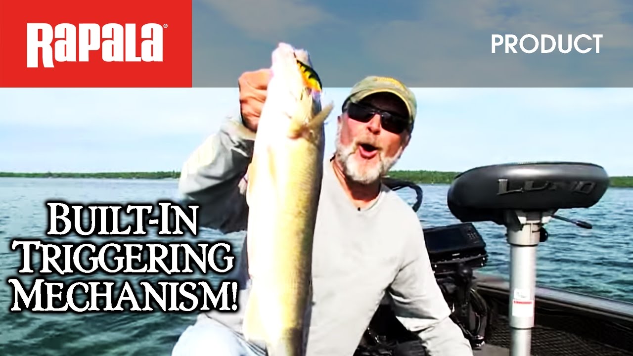 rapala scatter rap walleye rapala scatter rap walleye