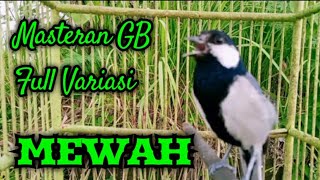 Masteran gelatik batu full variasi   rol tembak mewah