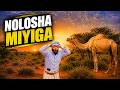 WAXA AAN ARKAY HAL DHALAYSA I WITNESSED THE REMARKABLE OF A CAMEL GIVING BIRTH 