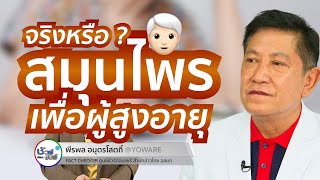 ชัวร์ก่อนแชร์ :  สมุนไพรเพื่อผู้สูงอายุ จริงหรือ ?