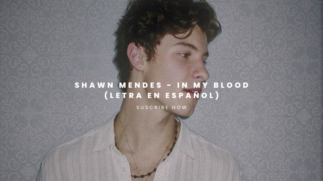 In My Blood Shawn Mendes Español