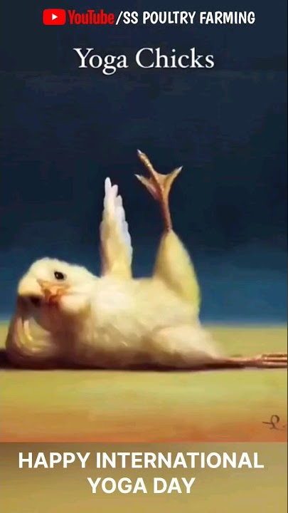 Qattiq blowjob YouTubeda sutli kokraklar