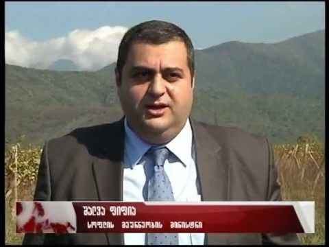 რთველი -2013 დასრულდა