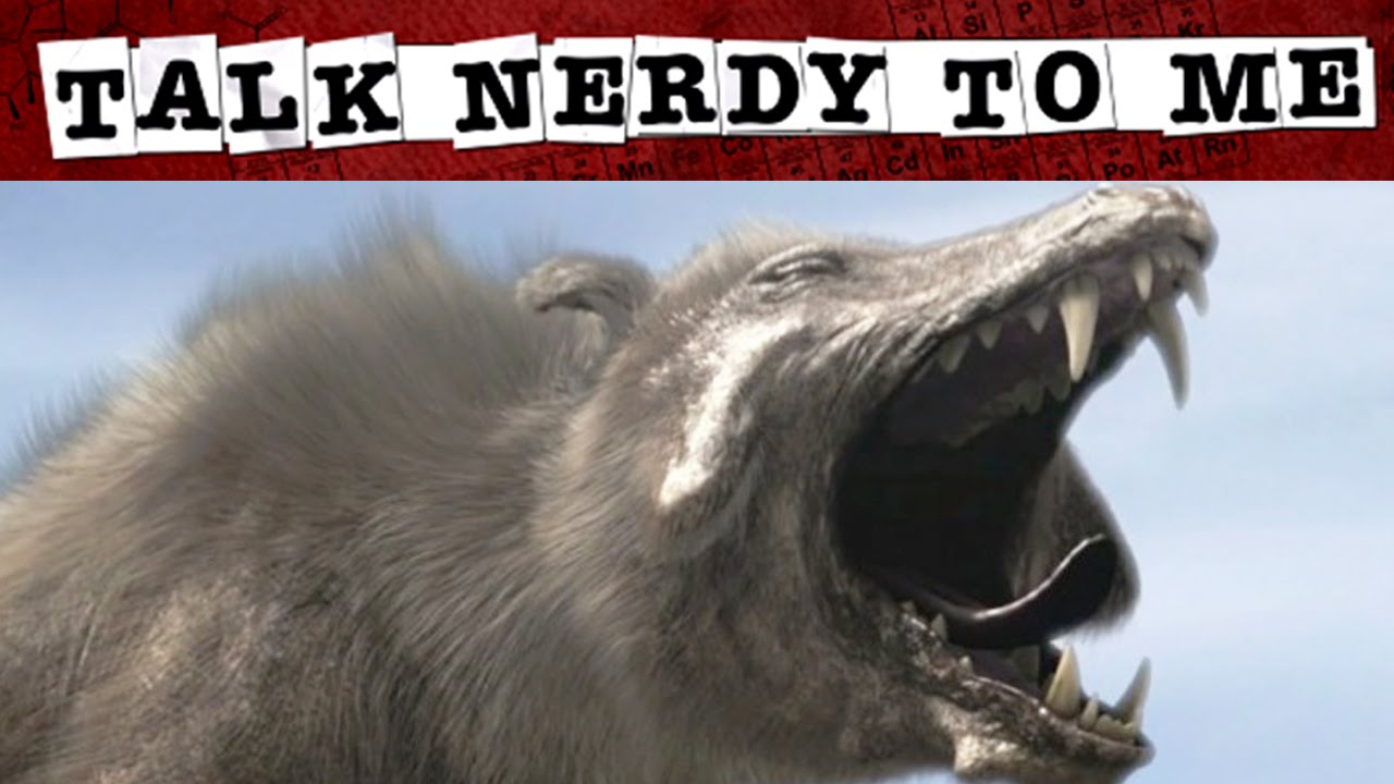 These 5 Prehistoric Mammals Were Pretty Monstrous | TNTM - YouTube