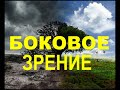 БОКОВОЕ ЗРЕНИЕ  - Вячеслав Бойнецкий