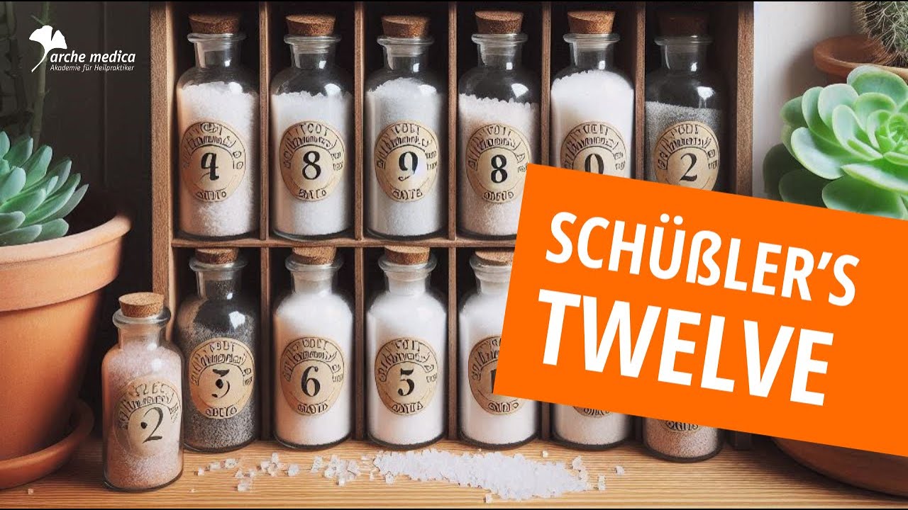 Schüßler-Salze: Natürliche Helfer für jeden Tag