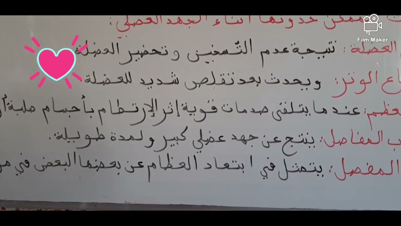 تربية علمية القواعد الصحية أثناء الجهد العضلي السنة الخامسة ابتدائي