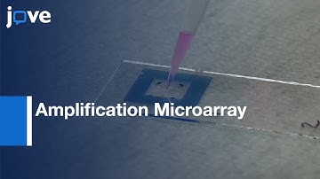 Multi-drug Resistant Amplification Microarray Demonstration | Protocol Preview