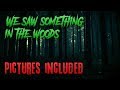 "We Saw Something In The Woods" [NoSleep] *WITH PHOTOS*