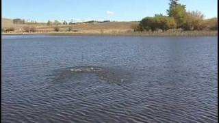 Depth Zones for Trout | How To Find Trout in a Lake