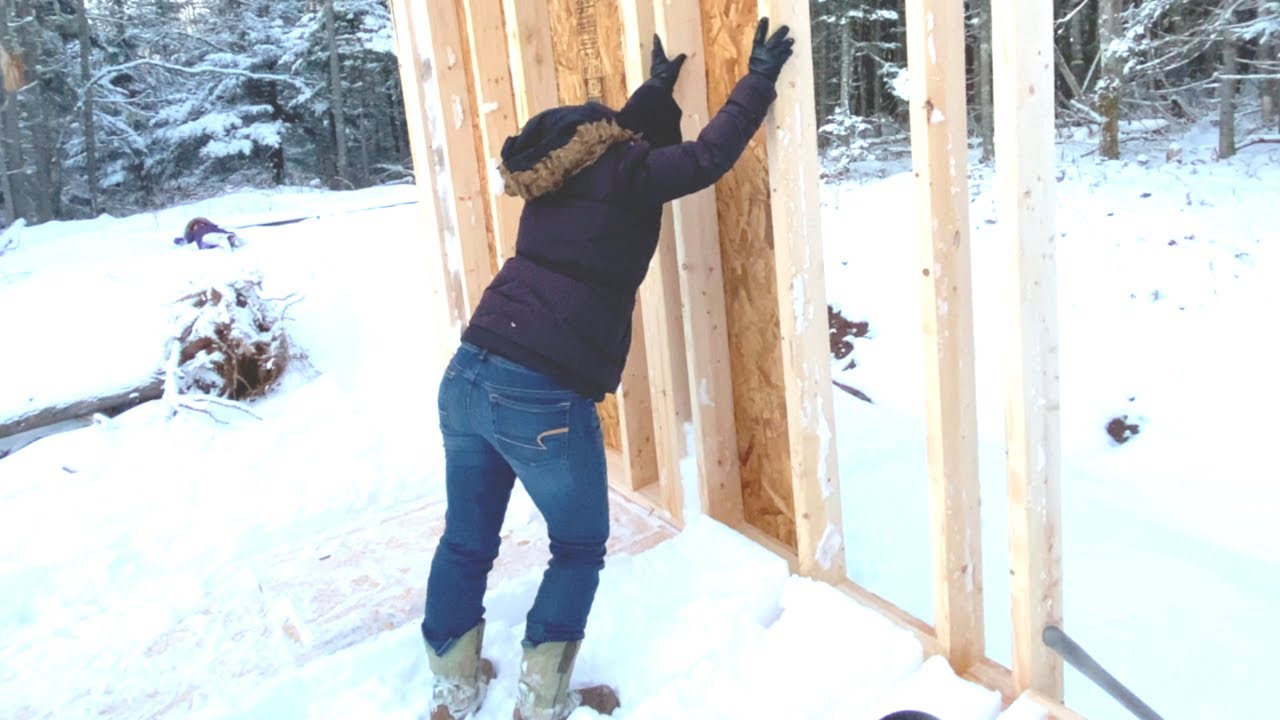 She's Got It UP - DIY 20' x 30' Tiny Off Grid Home / Cabin Build - YouTube