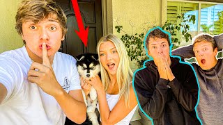 Surprising Our Family With OUR NEW DOG!