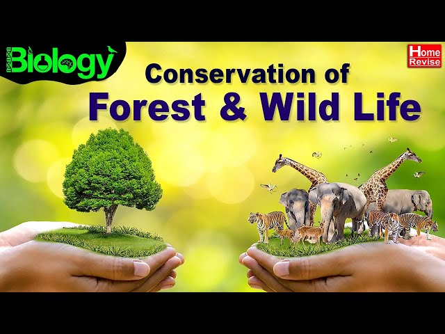 Conservation of Forest u0026 Wild Life | Part 1 | Home Revise class=