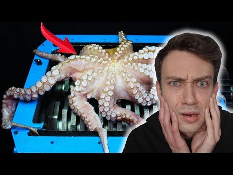 Video: Vědci Objevili Neobvyklou Chobotnici S Obrovskýma Očima - Alternativní Pohled
