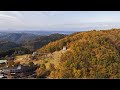 秋のツインリンクもてぎ　紅葉に染まるハローウッズの森