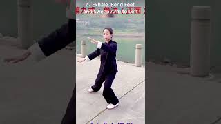 Step 9 of 24 Yang style Tai Chi detailed tutorial.