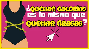 ¿Qué órgano quema más calorías?