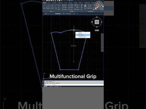 AutoCAD Multifunctional Grip