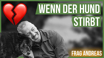 Was muss ich tun wenn mein Hund zu Hause stirbt?