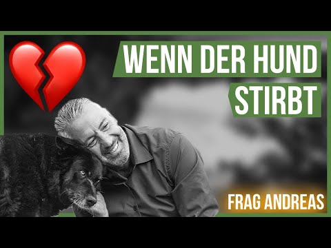 Video: Was tun, wenn Ihr Hund zu Hause stirbt?