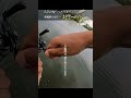 こんな時はスピナーベイト巻きましょう!!
