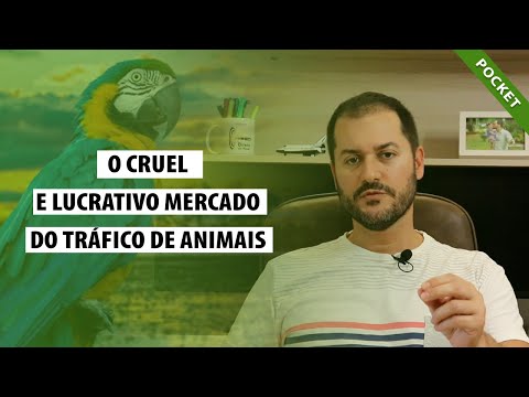 Vídeo: Tópico de debate: animais de estimação exóticos devem ser legais