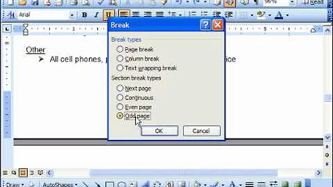 Word 2003 Tutorial Working with Page & Section Breaks Microsoft Training Lesson 7.1