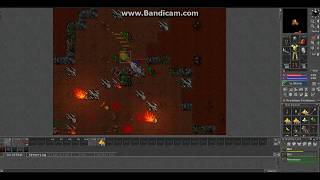 MinoHell 2017 rookgaard rookstayer Tibia world extra