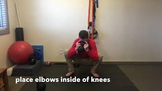 Prying Goblet Squat for hip mobility - Provo Chiropractor