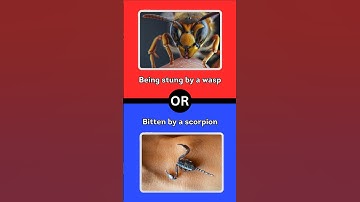 What Would You Rather Do?