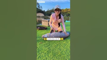 cô cần thủ đeo kính đi câu cá chép chép bị anh chủ hồ chơi đểu và cái kết #fishing