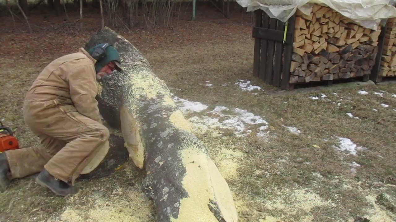 Незадолго до снегопада, когда я рубил некрасивое бревно, снег всё-таки выпал.