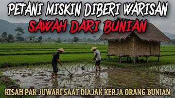 PETANI MISKIN DIBERI WARISAN SAWAH DARI BUNIAN - cerita mistis 