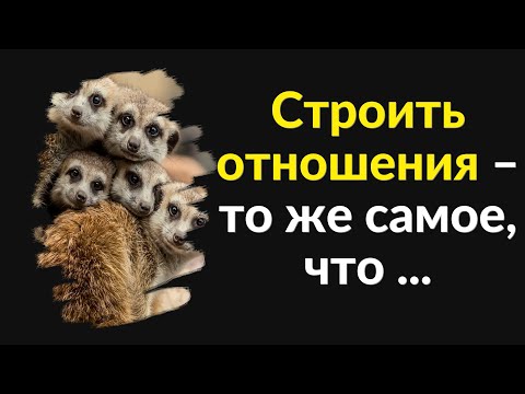 Мудрые Цитаты про Семью | Цитаты Великих людей | Цитаты, афоризмы, мысли