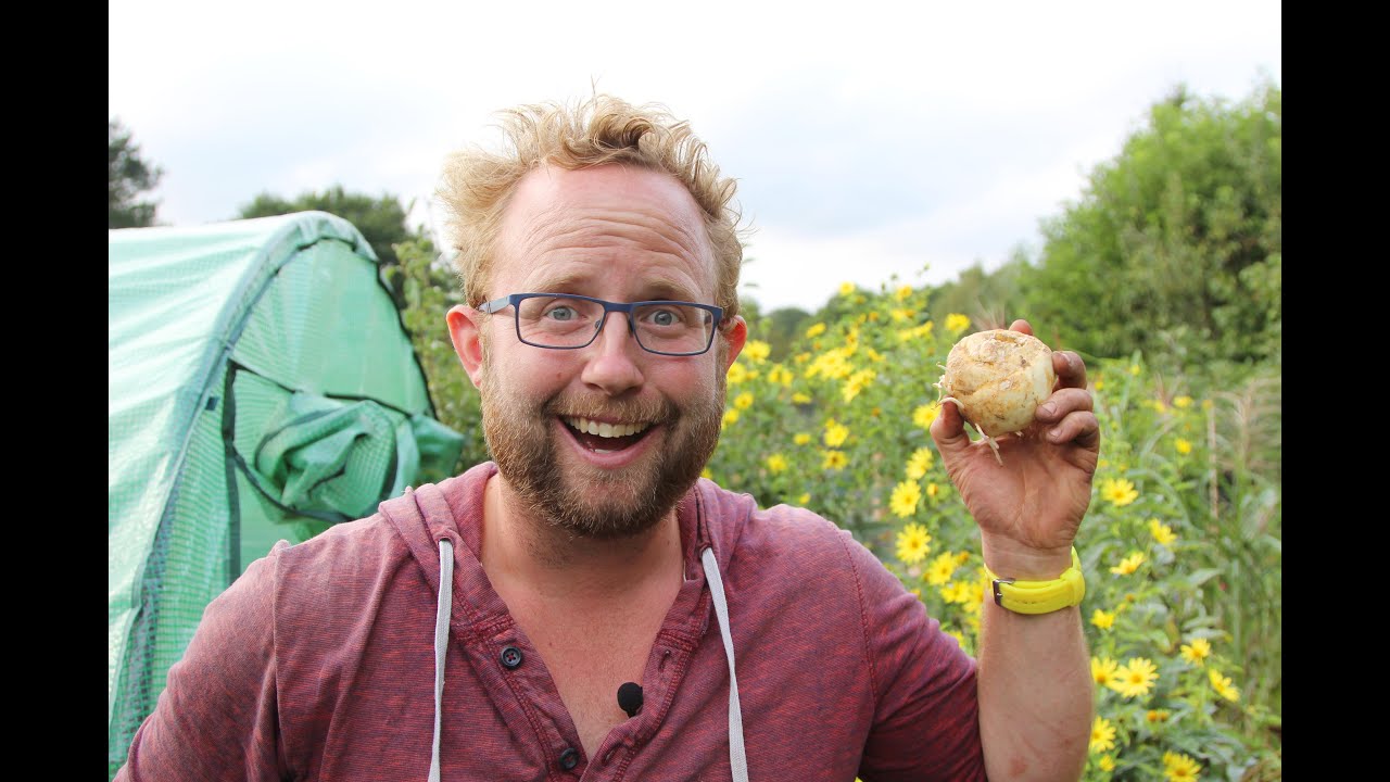 Займитесь садоводством: Crown Imperials, коронующая слава!