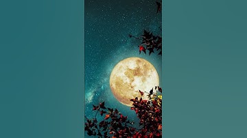 سورة آل عمران الاية ~ 194