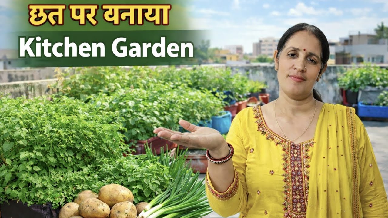 छत पर बनाया Kitchen Garden 🏡 