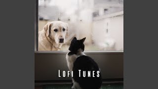 Chillout Pet Rhythms