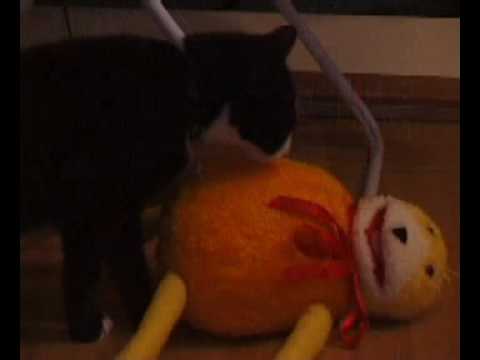 Flat Eric's Adventure