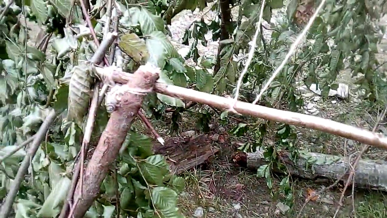 Imagini Vidraru 23-09-2018 fishing boats for sale