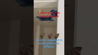 Bats are highly adaptable to all conditions.  And even freshly painted drywall won’t stop them