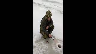 Рыбалка на озере Черстно Псковской области