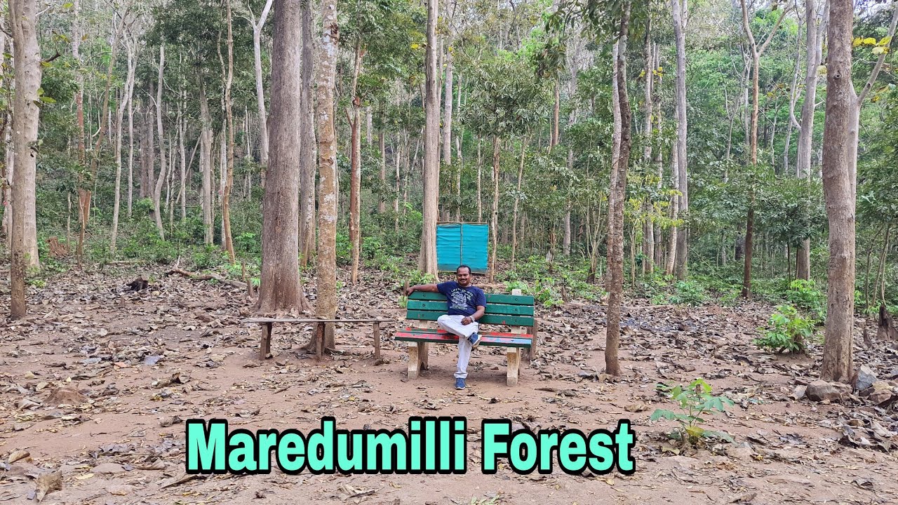 Maredumilli Forest JC College Of Law Students Guntur YouTube maredumilli-forest-jc-college-of-law-students-guntur-youtube