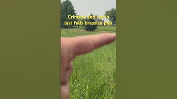 Mowing food plots. #foodplot #shorts #whitetaildeerhunting