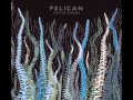 Capture de la vidéo Pelican - City Of Echoes [Full Album]