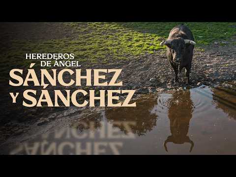 GANADERIA SANCHEZ Y SANCHEZ - Pasión por el encaste Murube