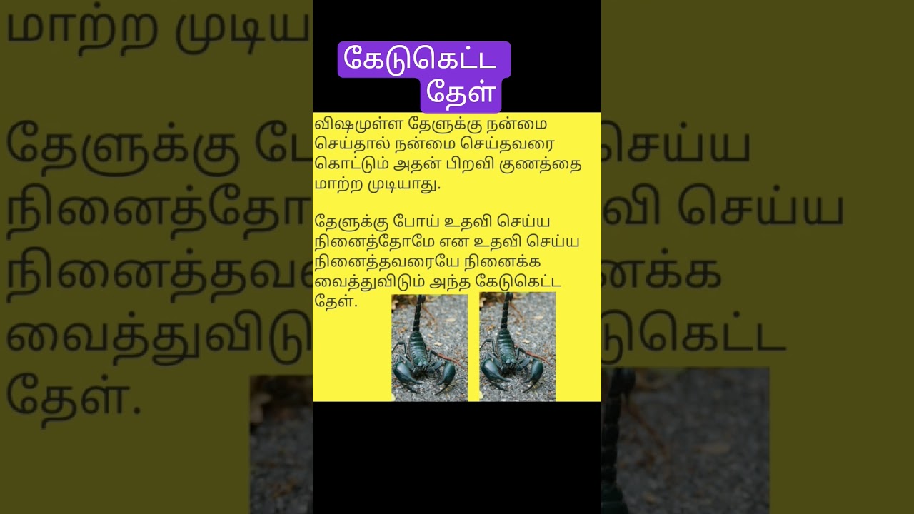 கேடுகெட்ட தேள் #tstmreviews #tamil