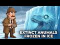 10 Extinct Species Found Perfectly Preserved That Still Puzzle Science