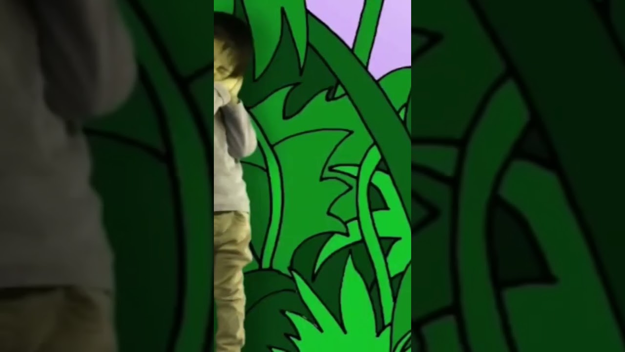 SLEEP WITH KOALA BY ANIMAL SONG