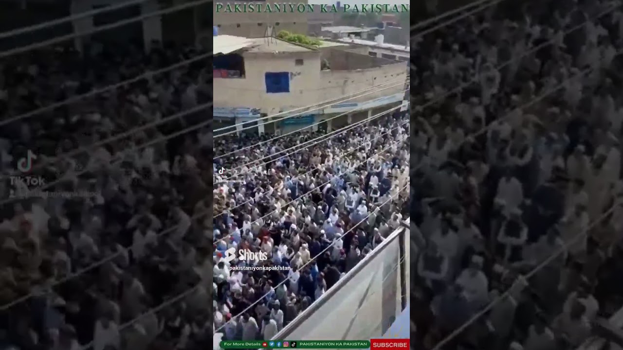 Peace March , Murad Saeed PTI Leader , Swat KPK